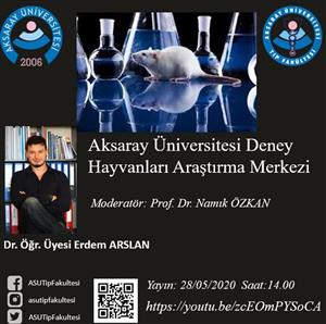 Geçmiş Etkinlikler