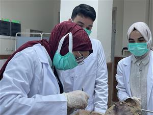 Fakültemiz Dönem II öğrencilerimizden bir grup, Uzm. Dr. Ahmet Safa GÖKŞAN ile birlikte Konya Necmettin Erbakan Üniversitesi Tıp Fakültesi Anatomi Laboratuvarını ziyaret ederek kadavra üzerinde anatomi ve sütür eğitimine katıldılar.