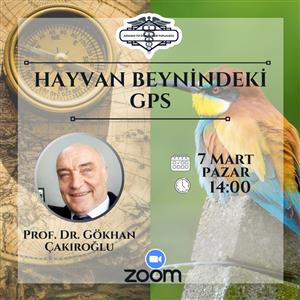 Hayvan Beynindeki GPS 